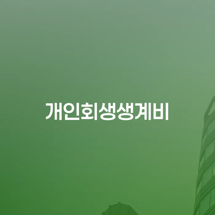 개인파산회생 개인회생 제도 꼭 해야하는 일