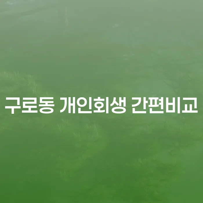 구로동 개인회생 간편비교