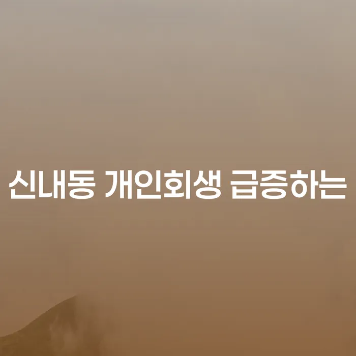 신내동 개인회생 급증하는