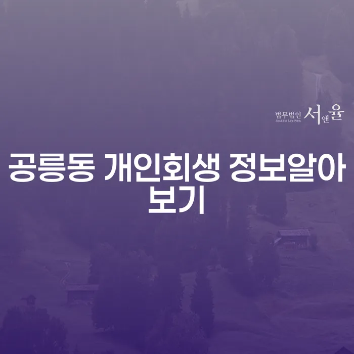 공릉동 개인회생 정보알아보기