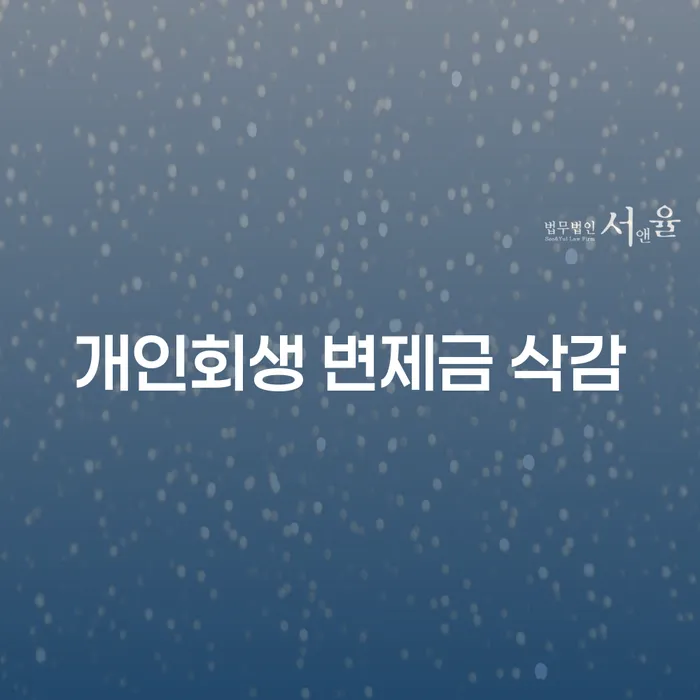 개인회생 변제금 삭감, 희망의 빛을 찾을 수 있을까요?