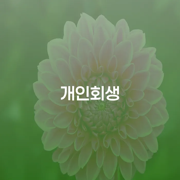 압구정동 개인회생의 길: 채무에서 벗어나기 위한 방법