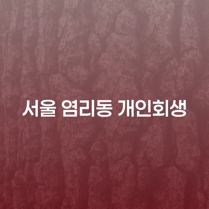 서울 염리동 개인회생, 당신에게 필요한 해결책은?