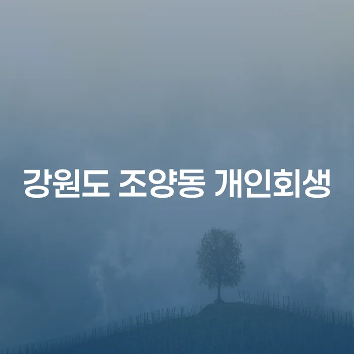 강원도 조양동 개인회생 신청, 어떻게 해야 할까요?