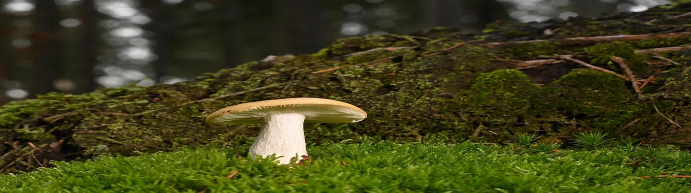 법무법인 서앤율